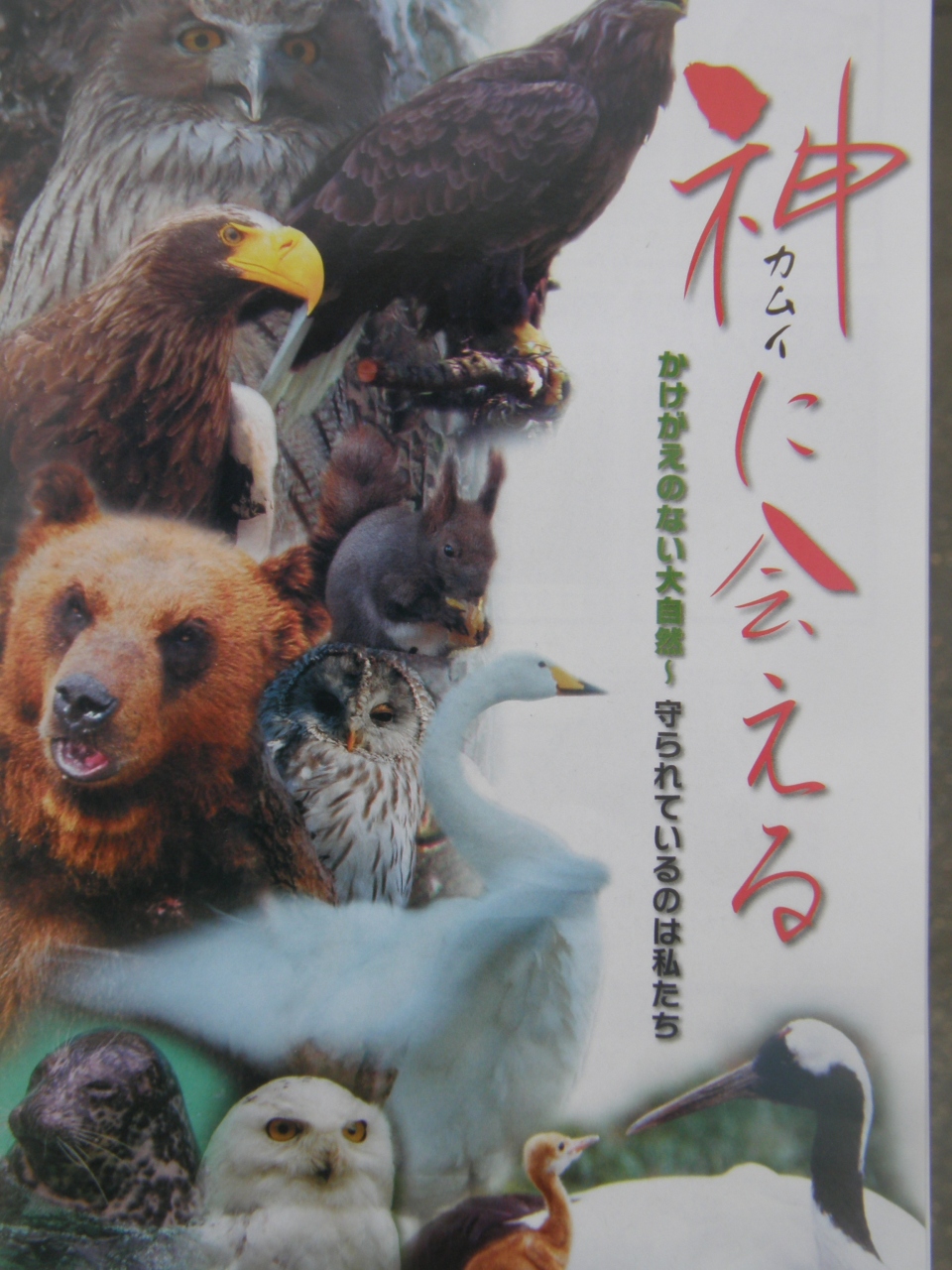 神 カムイ に会える 釧路市動物園北海道ゾーン 釧路 北海道 の旅行記 ブログ By ツーリスト今中さん フォートラベル