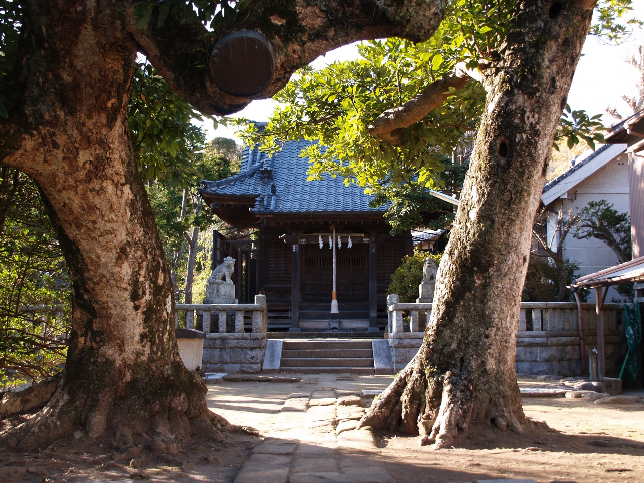 鎌倉八坂神社 10年正月 鎌倉 神奈川県 の旅行記 ブログ By ドクターキムルさん フォートラベル