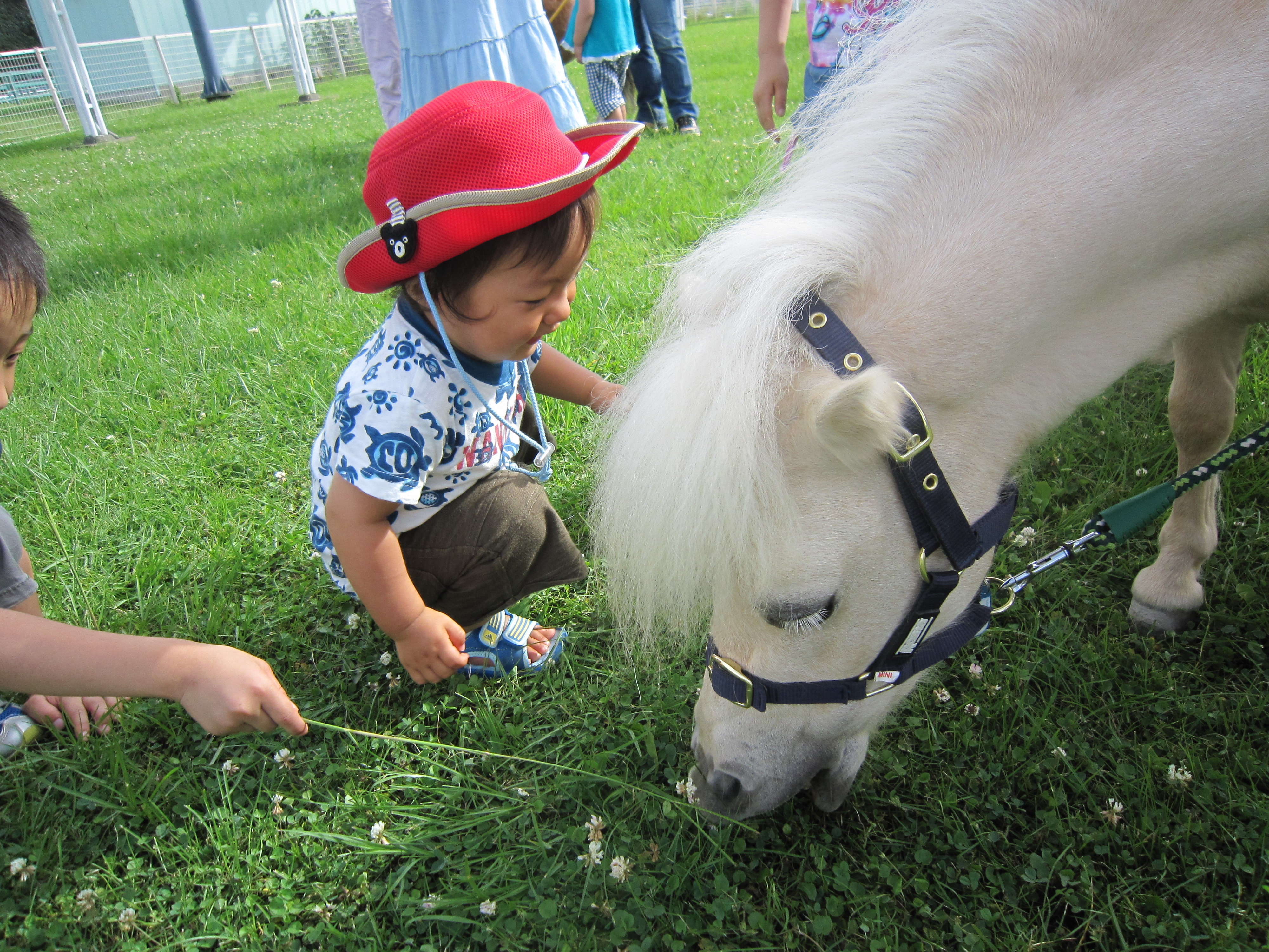 母と息子の競馬場デビュー 大森 大井町 東京 の旅行記 ブログ By アグさん フォートラベル