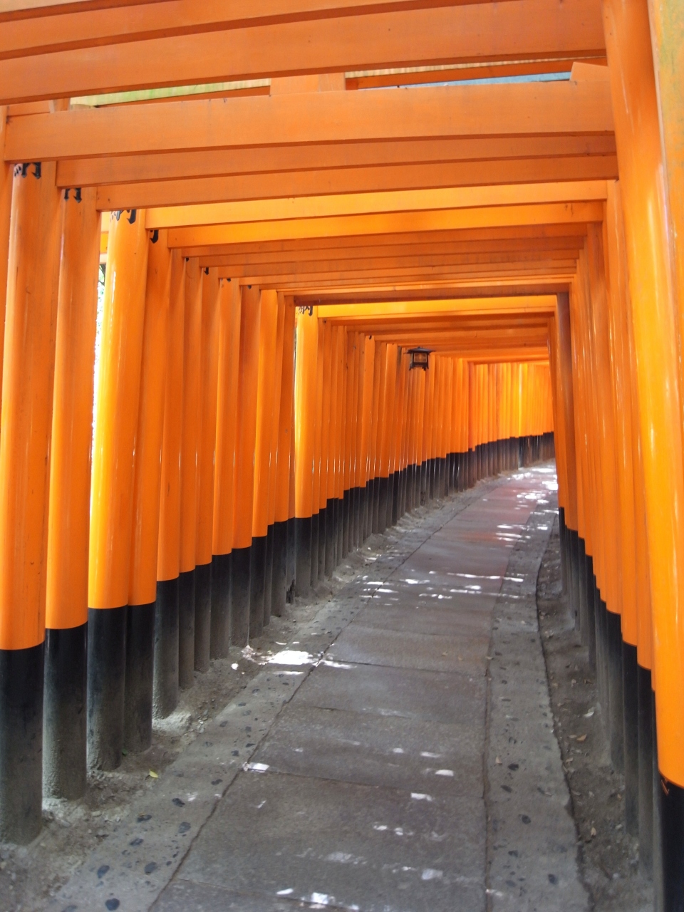 『ぶらり伏見へ♪in 京都(1)【伏見観光編】』伏見(京都)の旅行記・ブログ by Kittyさん【フォートラベル】