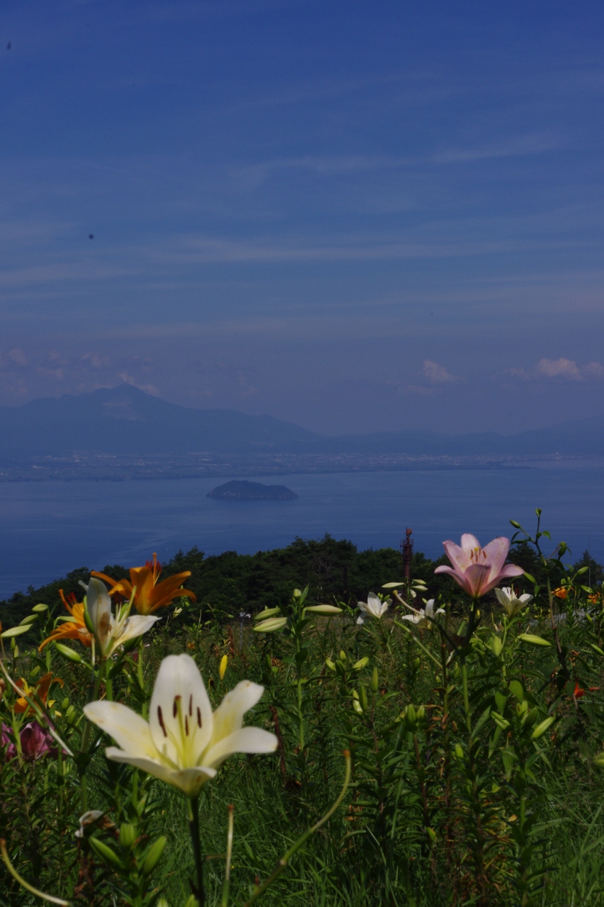 ゲレンデに咲く百合 びわこ箱館山ゆり園 今津 滋賀県 の旅行記 ブログ By はんなりさん フォートラベル ゲレンデに咲く百合 びわこ箱館山ゆり園 今津 滋賀県 の旅行記 ブログ By はんなりさん フォートラベル
