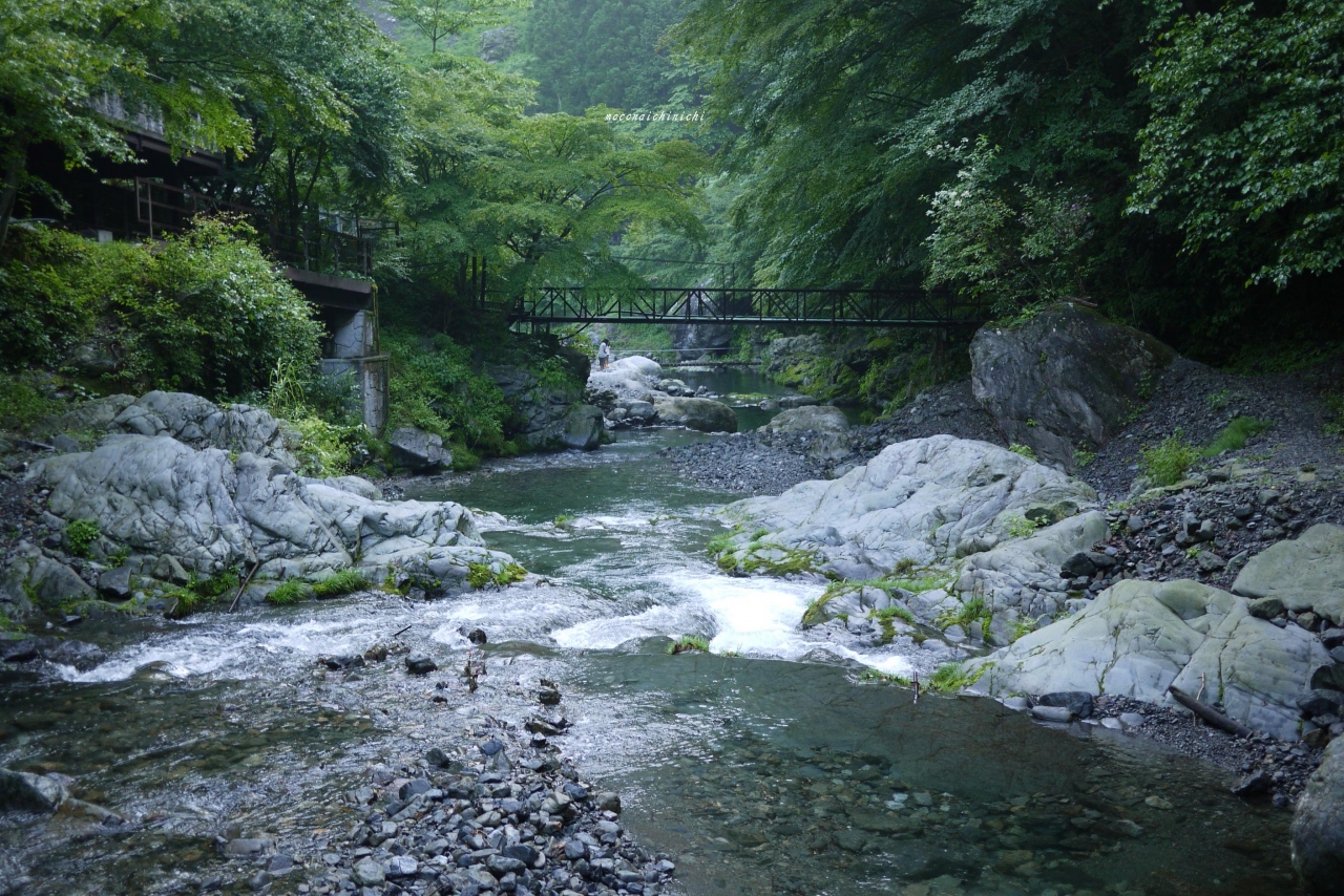 鱒釣りで暑さを凌ぐ 秩父 埼玉県 の旅行記 ブログ By Ryoh72さん フォートラベル