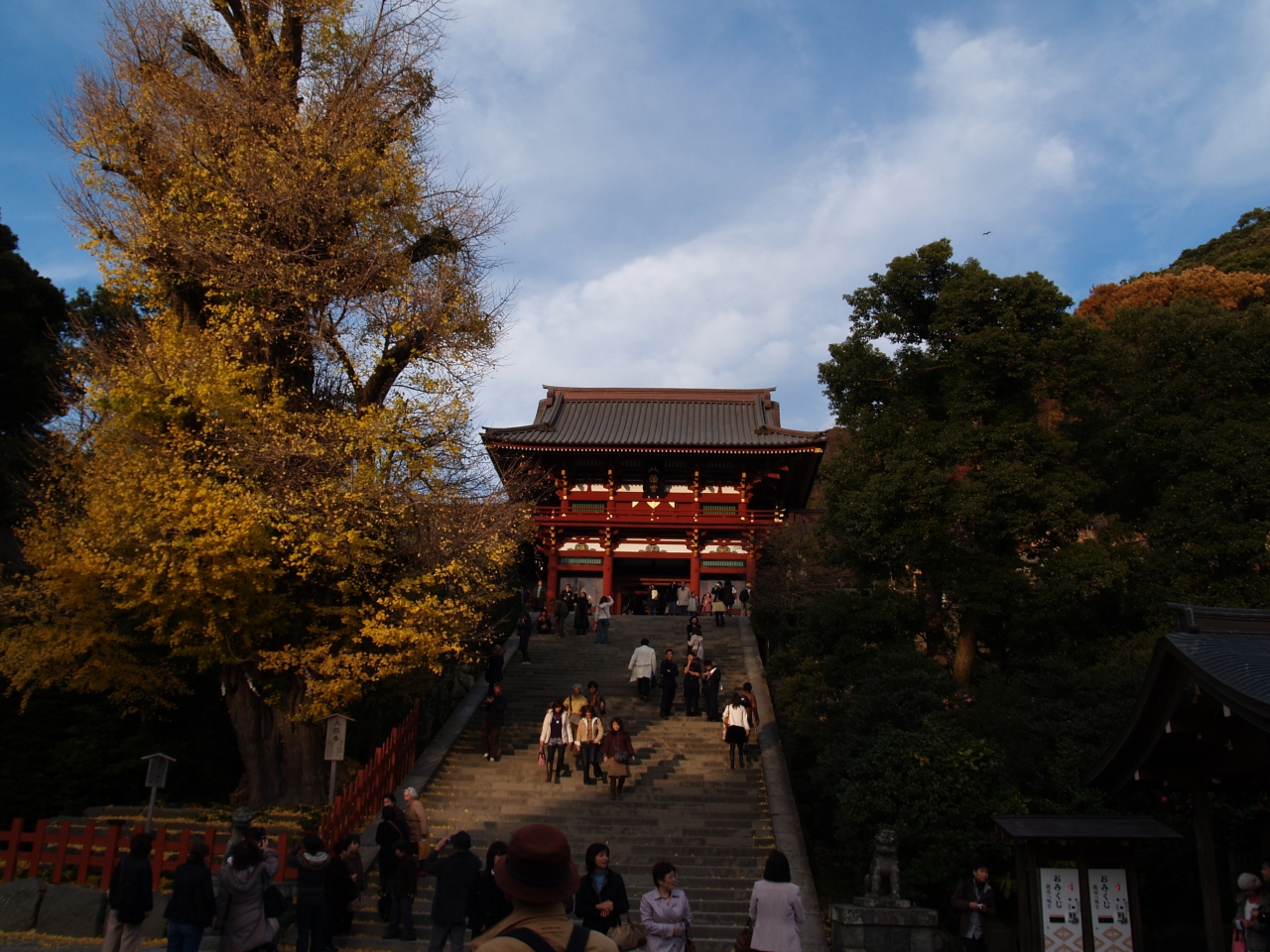 鎌倉鶴岡八幡宮 08年紅葉 鎌倉 神奈川県 の旅行記 ブログ By ドクターキムルさん フォートラベル