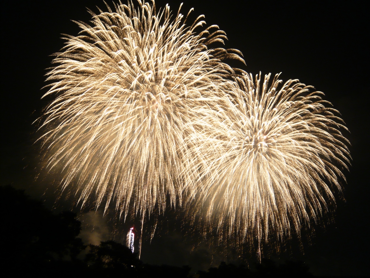 10年夏 長岡まつり大花火大会のニューフェニックスは凄い迫力でした 長岡 寺泊 新潟県 の旅行記 ブログ By Qantastelstraさん フォートラベル