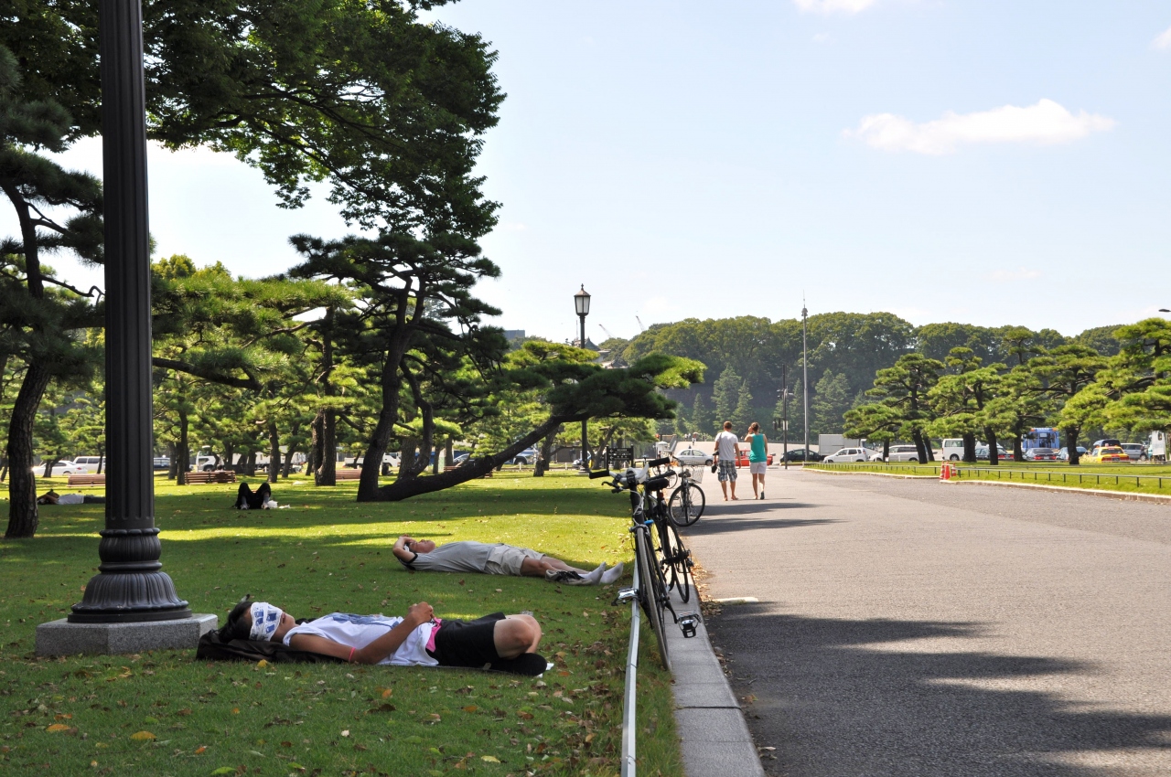 真夏の 皇居前広場 有楽町 チョット寄り道 丸の内 大手町 八重洲 東京 の旅行記 ブログ By 旅姿さん フォートラベル