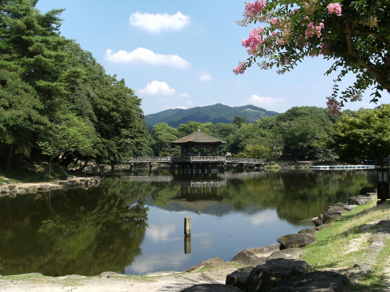 猿沢池 荒池 浮御堂 奈良市 奈良県 の旅行記 ブログ By りなママさん フォートラベル 猿沢池 荒池 浮御堂 奈良市 奈良県 の旅行記 ブログ By りなママさん フォートラベル