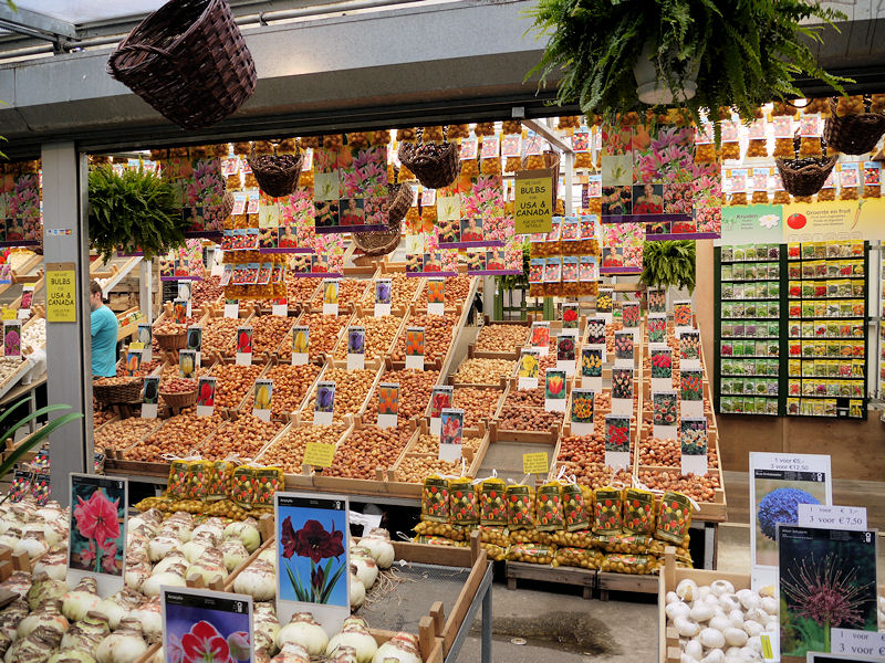 シンゲルの花市場を歩く アムステルダム オランダ の旅行記 ブログ By まるみさん フォートラベル