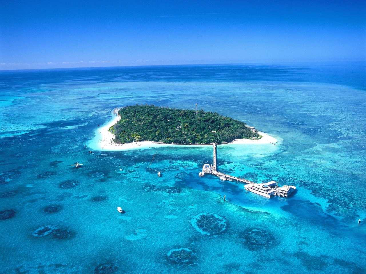 家族旅行 In ケアンズ グリーン島訪問 グレートバリアリーフ周辺 オーストラリア の旅行記 ブログ By ブルートレインさん フォートラベル