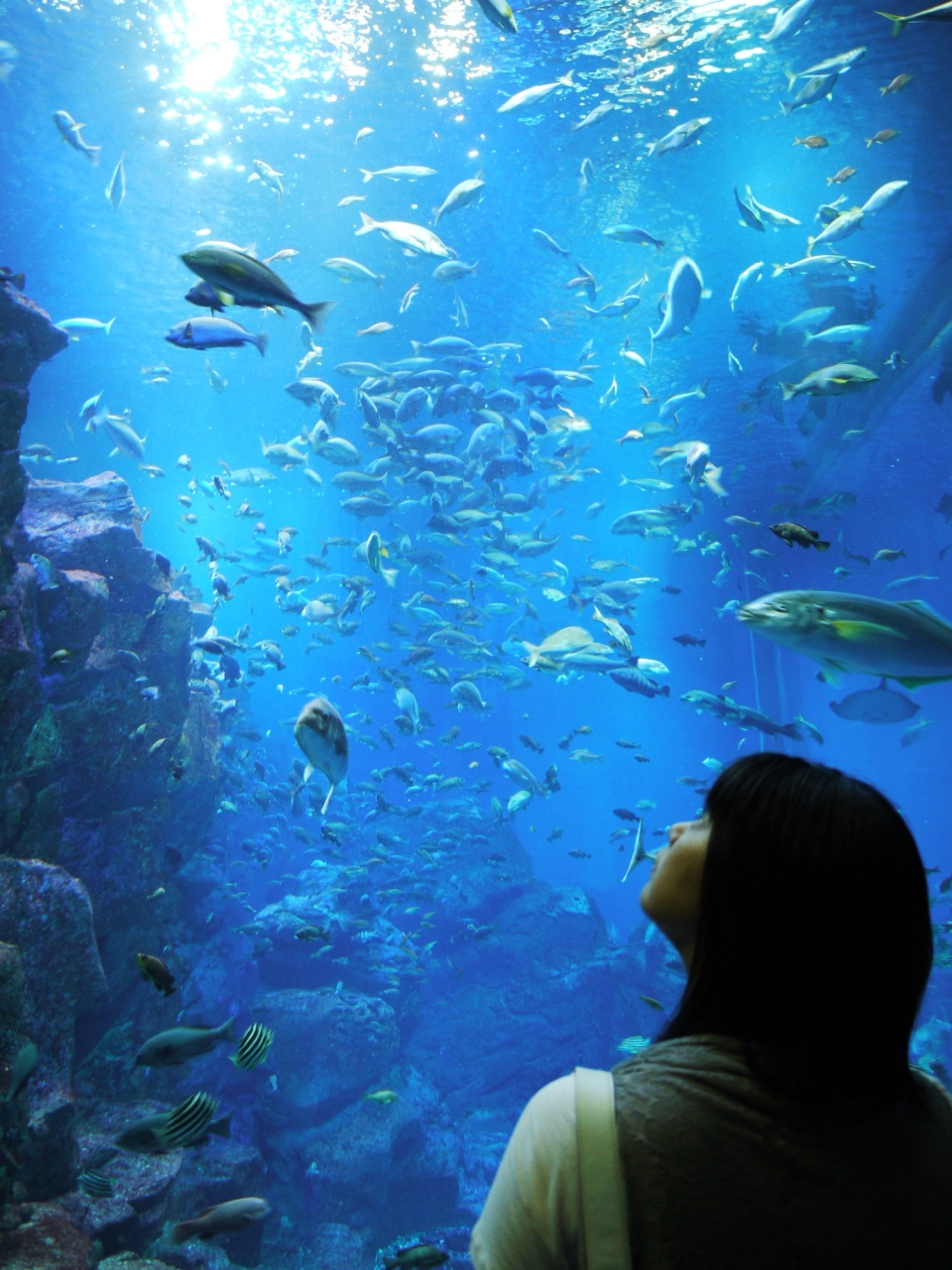 男鹿水族館ｇａｏ 昔の面影はないみたい 男鹿 秋田県 の旅行記 ブログ By Kevizooさん フォートラベル