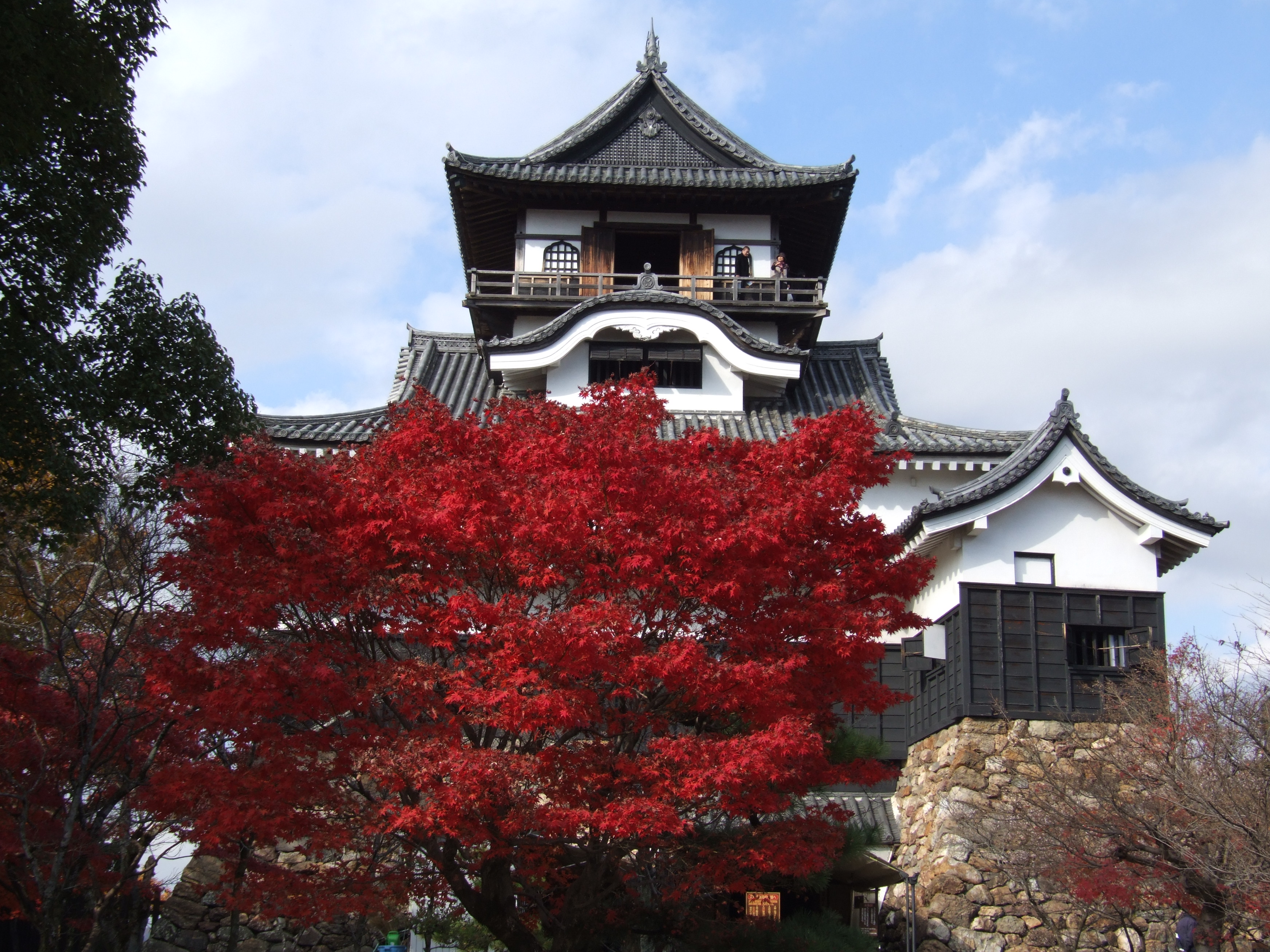 近くに行きたい 犬山城の紅葉と東海のもみじ寺 寂光院 犬山 愛知県 の旅行記 ブログ By Kotetsupatapataさん フォートラベル