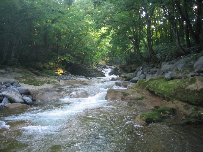 道央釣りの旅 10 渓谷で山女魚とあそびました 増毛 雨竜 北海道 の旅行記 ブログ By ハリバット健さん フォートラベル