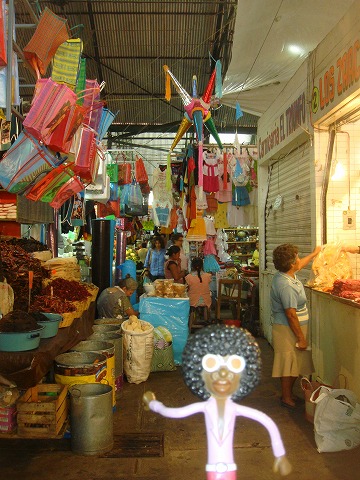 『なみお&みすたぁのなんちゃって世界一周旅行 メキシコ・オアハカ②』オアハカ(メキシコ)の旅行記・ブログ by みすたぁさん【フォートラベル】