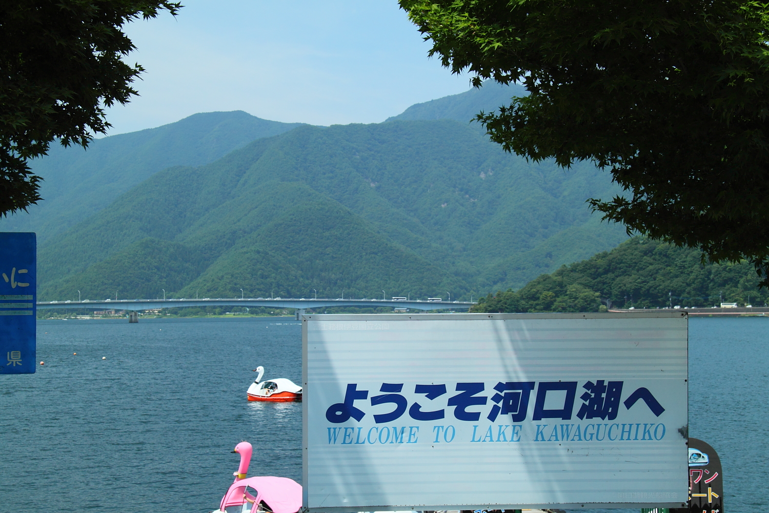 夏の富士山周辺 河口湖遊覧 猿まわし劇場 おまけ 山梨県の旅行記 ブログ By じゅうべいさん フォートラベル