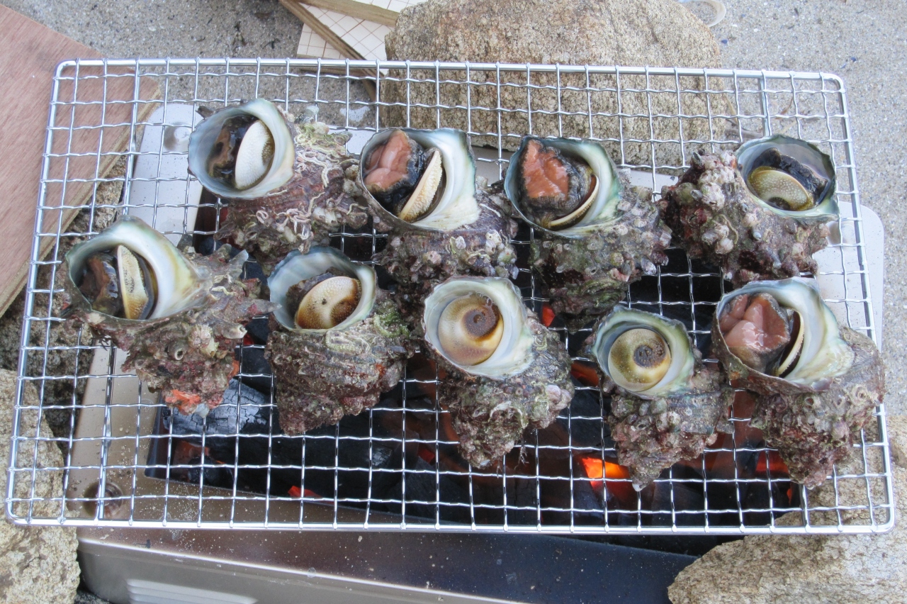 10夏 ヨットで渥美湾の無人島 梶島へ 2 8月26日 2 バーベキュー 西浦 幡豆 愛知県 の旅行記 ブログ By 旅人のくまさんさん フォートラベル