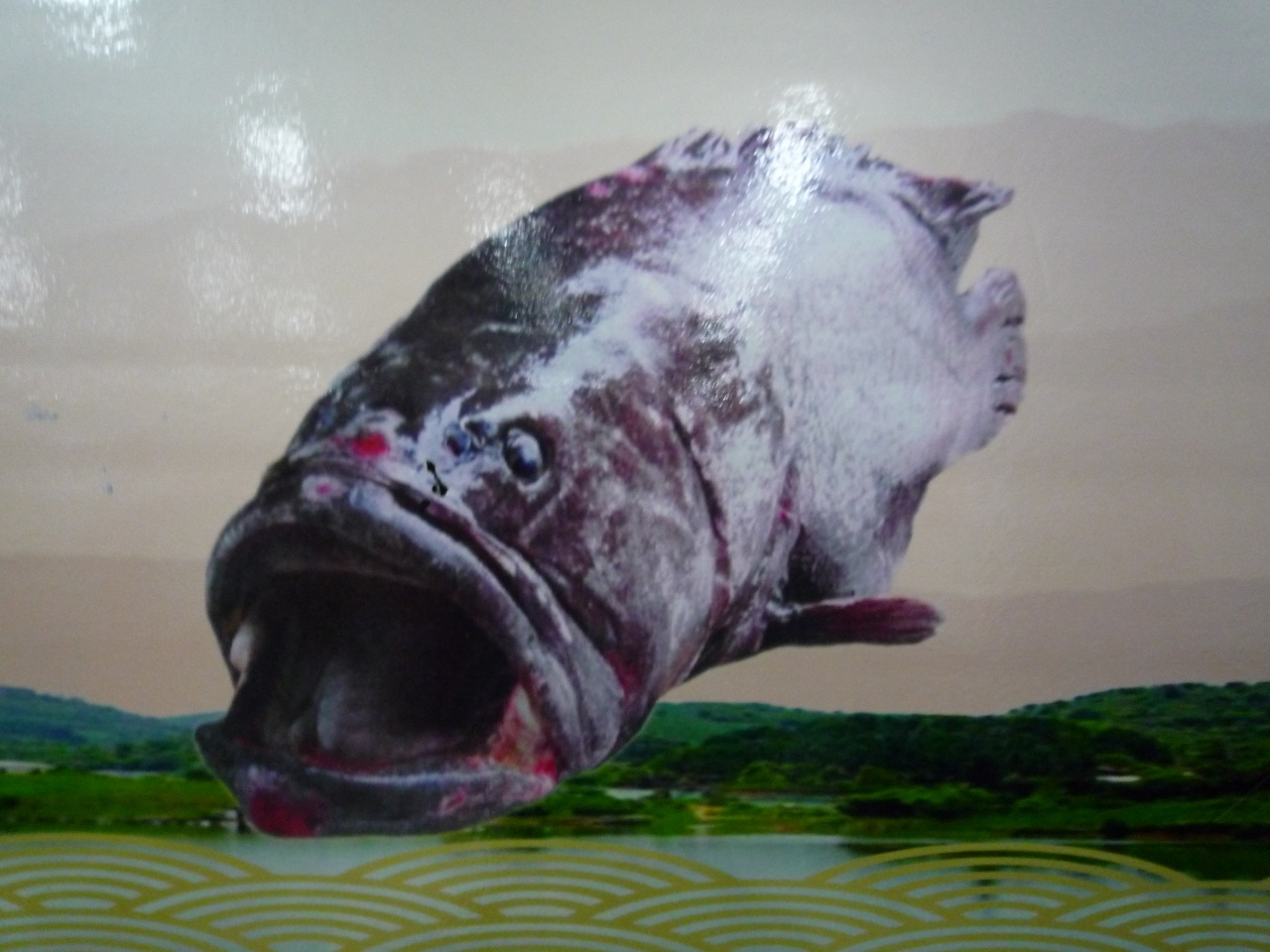 中国巨大魚を食べてみる 上海 中国 の旅行記 ブログ By Tsuruさん フォートラベル