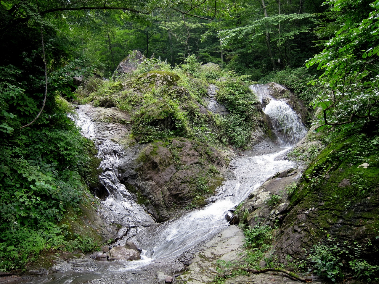 赤城山麓 夏の不動大滝と乙女の滝 赤城山周辺 群馬県 の旅行記 ブログ By 風神さん フォートラベル 赤城山麓 夏の不動大滝と乙女の滝 赤城山周辺 群馬県 の旅行記 ブログ By 風神さん フォートラベル
