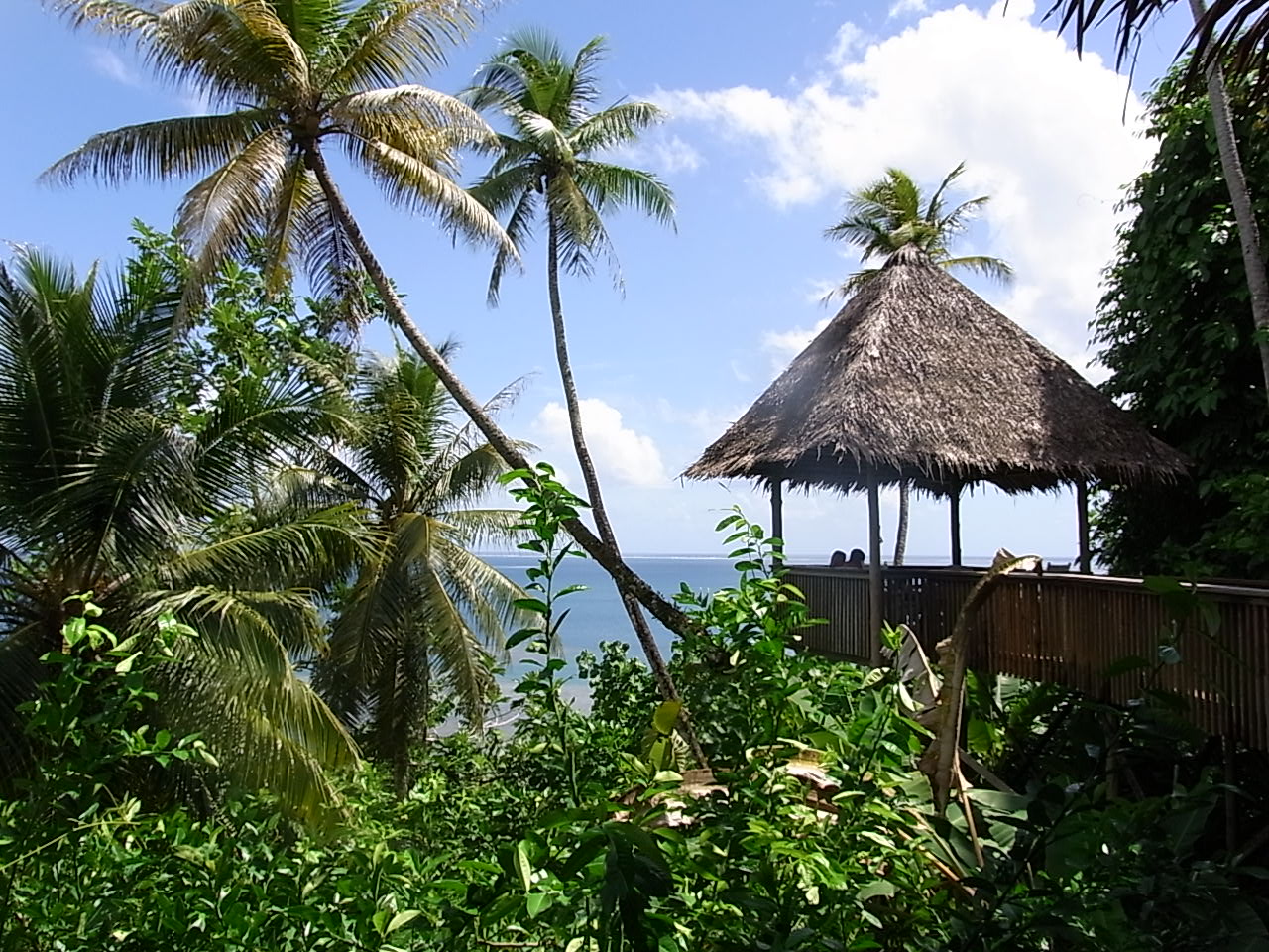 ミクロネシア連邦 Pohnpei ポンペイ 旅行記 Village編 ポナペ ポンペイ ミクロネシア の旅行記 ブログ By エリマキさん フォートラベル