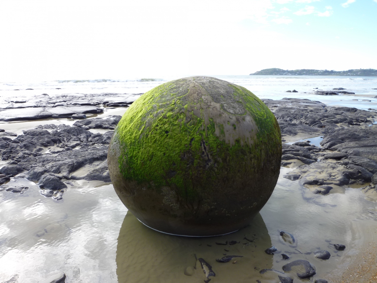 海岸に並ぶ奇石 その他の観光地 ニュージーランド の旅行記 ブログ By ニースのミモザさん フォートラベル