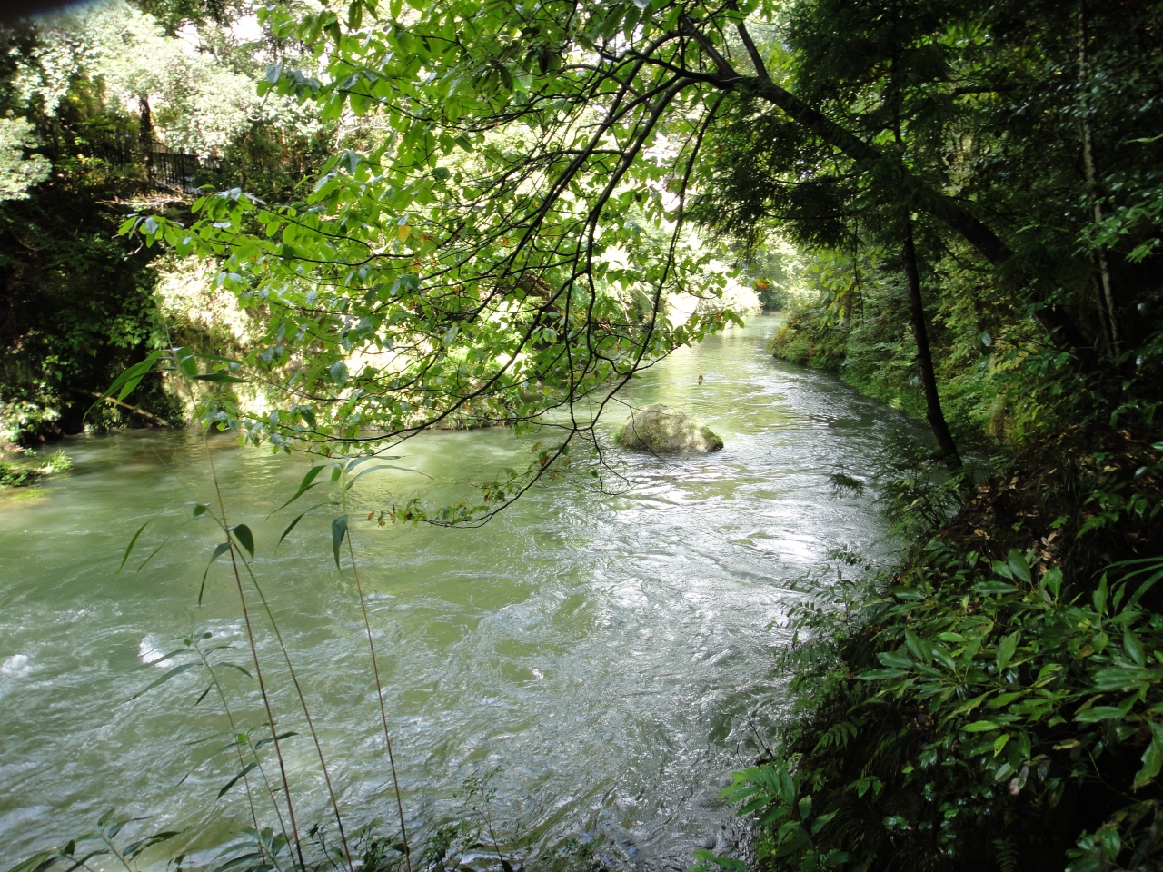 ほっと石川ぐるり旅 1 そぞろ歩きが楽しい 芭蕉が愛した鶴仙渓の景色 加賀温泉郷 山中温泉 山中温泉 石川県 の旅行記 ブログ By でかドラさん フォートラベル