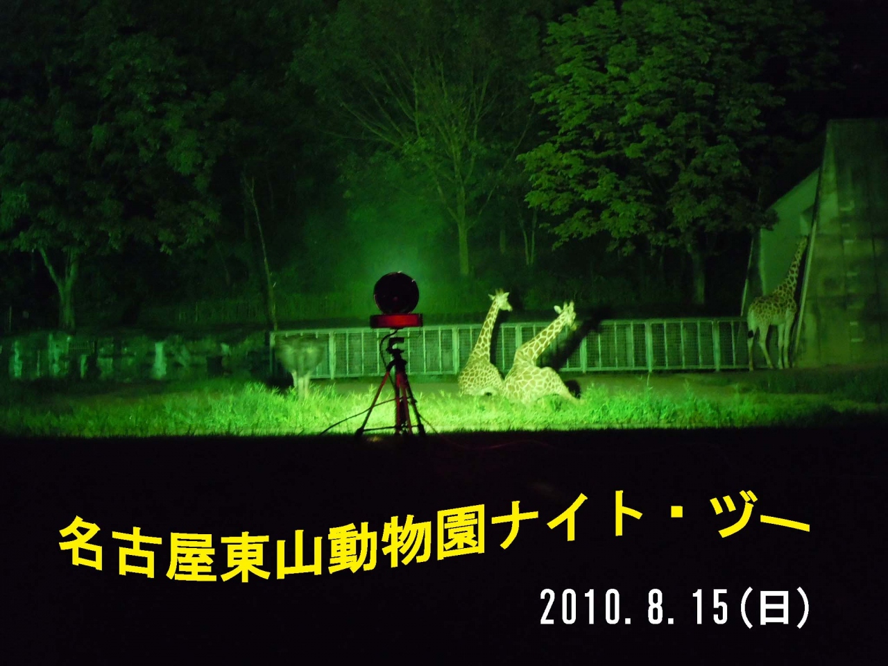 名古屋東山動物園 ナイトヅー 千種 今池 愛知県 の旅行記 ブログ By ぱぶさん フォートラベル