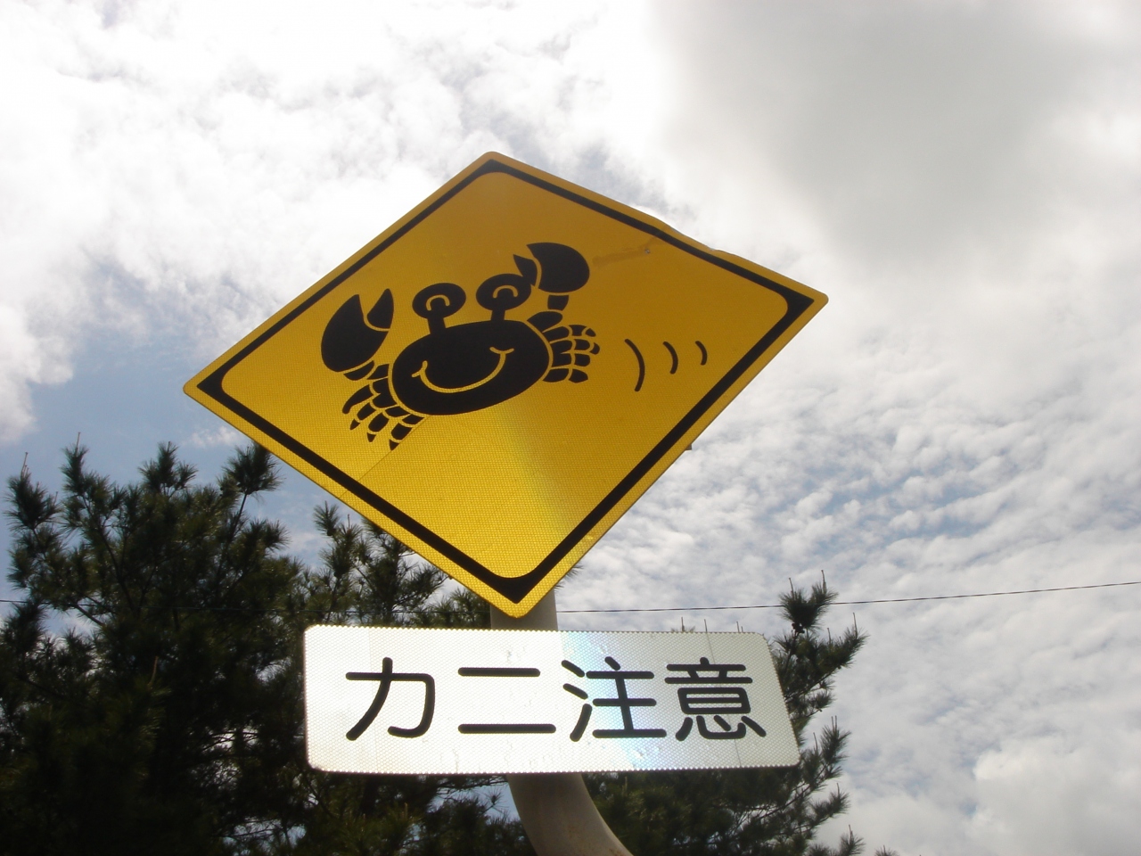 沖縄 珍しいモノたち 沖縄県の旅行記 ブログ By ２号さん フォートラベル