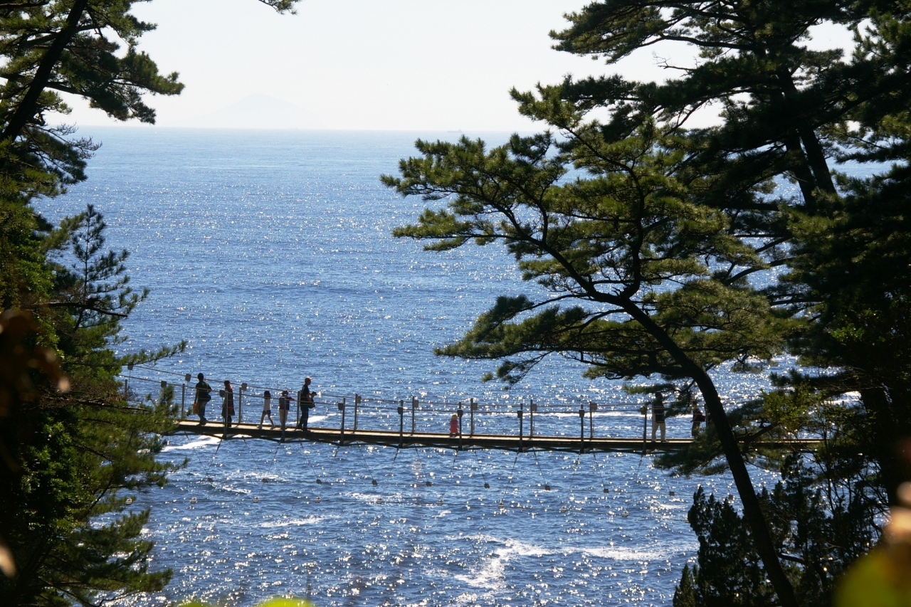 城ヶ崎自然研究路の散策 富戸 一碧湖 城ヶ崎 静岡県 の旅行記 ブログ By アルプ グリュムさん フォートラベル
