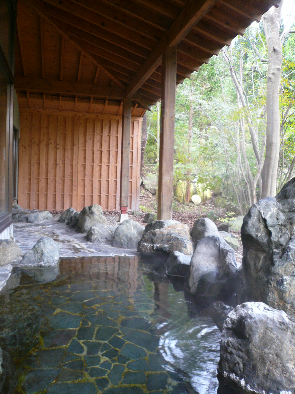 どんぶら子ツアー第2弾 宿泊編 猿ヶ京温泉 群馬県 の旅行記 ブログ By 芝山緑さん フォートラベル