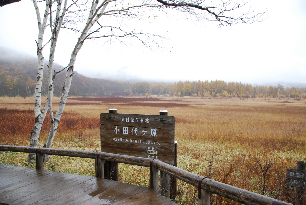 10年秋 日光戦場ヶ原ハイキング 龍頭の滝 湯滝 吹割の滝へ 日光湯元温泉 栃木県 の旅行記 ブログ By Jun1さん フォートラベル