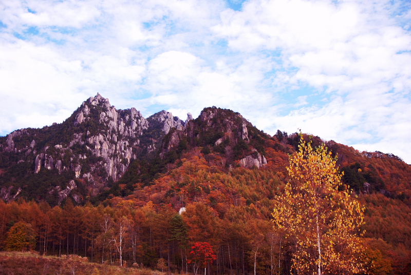 紅葉の通仙峡 百名山みずがき山自然園 益富温泉 バスツアー 増富温泉 山梨県 の旅行記 ブログ By マダコ3さん フォートラベル 紅葉の通仙峡 百名山みずがき山自然園 益富温泉 バスツアー 増富温泉 山梨県 の旅行記 ブログ By マダコ3さん フォートラベル