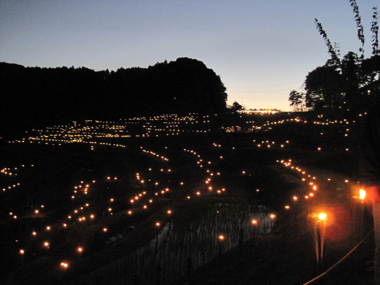 秋の大山千枚田 棚田の夜まつり を楽しむ 鴨川 千葉県 の旅行記 ブログ By Shinochansさん フォートラベル