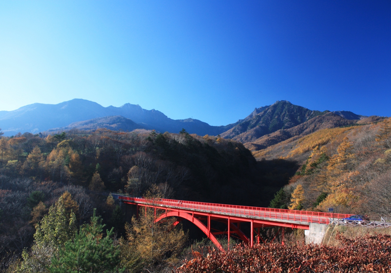 初めての犬連れ旅 清里 清里 八ヶ岳 山梨県 の旅行記 ブログ By やまとさん フォートラベル