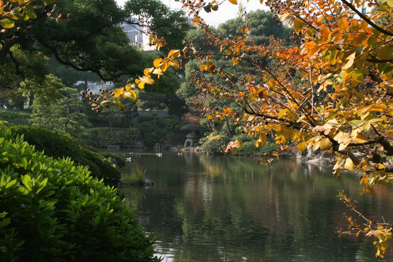 東京両国 旧安田庭園辺り散歩 11月 10 両国 東京 の旅行記 ブログ By Rockyさん フォートラベル