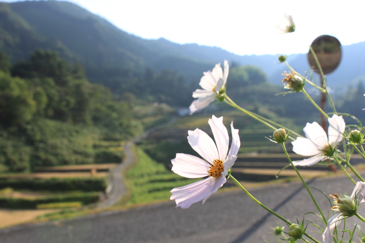 福岡 大阪 広島待ち合わせツーリング その1 広島県の旅行記 ブログ By Yosshiさん フォートラベル 福岡 大阪 広島待ち合わせツーリング その1 広島県の旅行記 ブログ By Yosshiさん フォートラベル