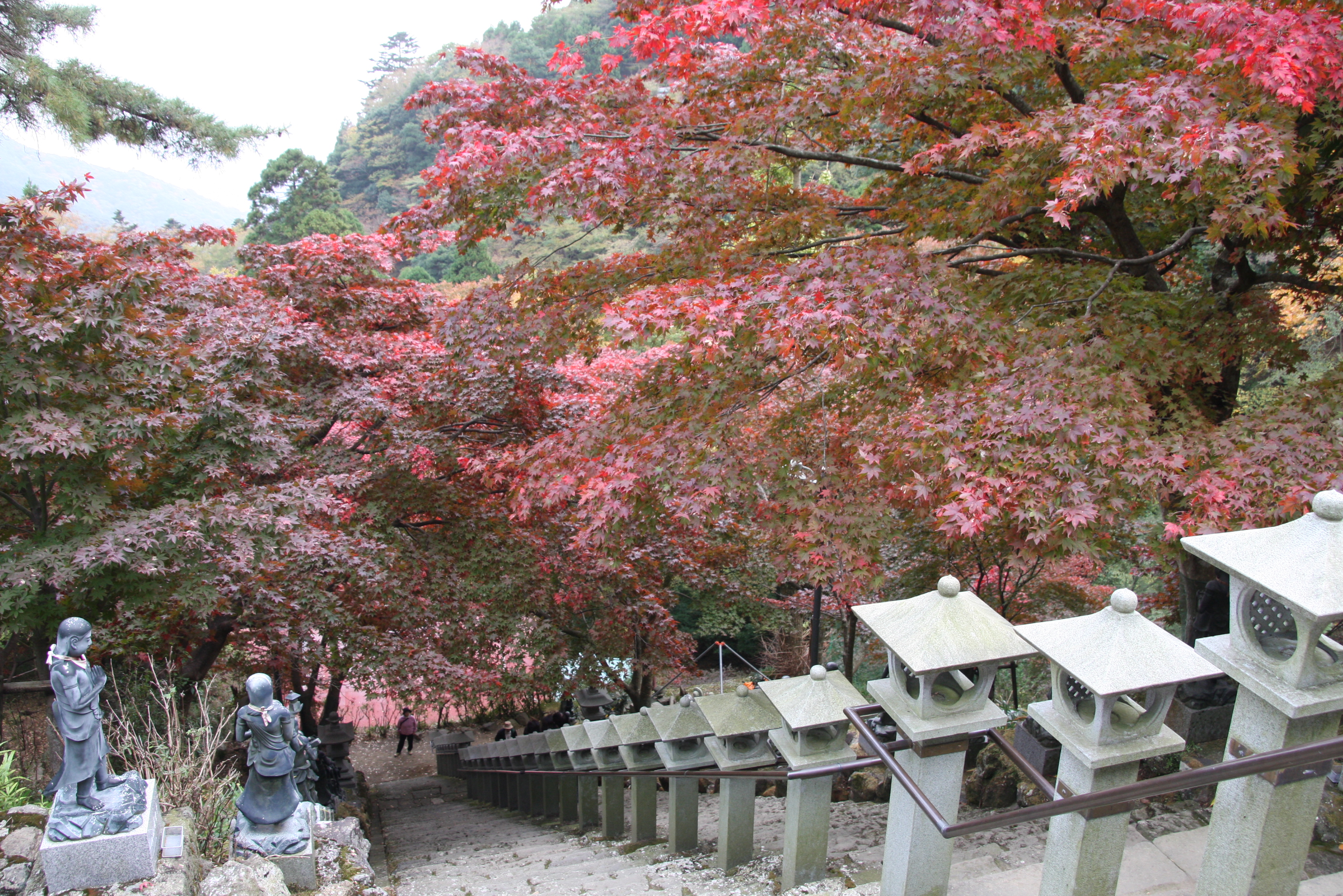 紅葉狩り 大山阿夫利神社 大山寺 丹沢 大山 神奈川県 の旅行記 ブログ By Morino296さん フォートラベル 紅葉狩り 大山阿夫利神社 大山寺 丹沢 大山 神奈川県 の旅行記 ブログ By Morino296さん フォートラベル