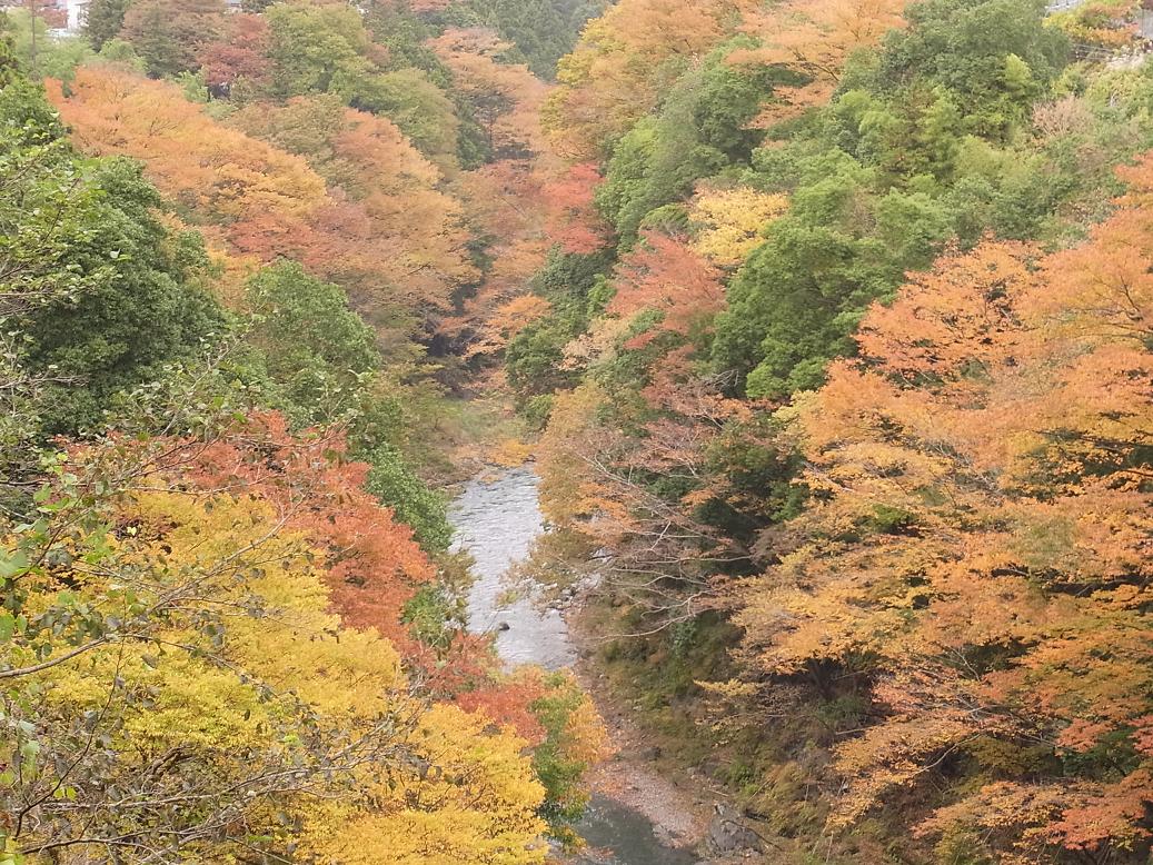 10年 東京都奥多摩の氷川渓谷の紅葉 奥多摩 東京 の旅行記 ブログ By Po Ohさん フォートラベル