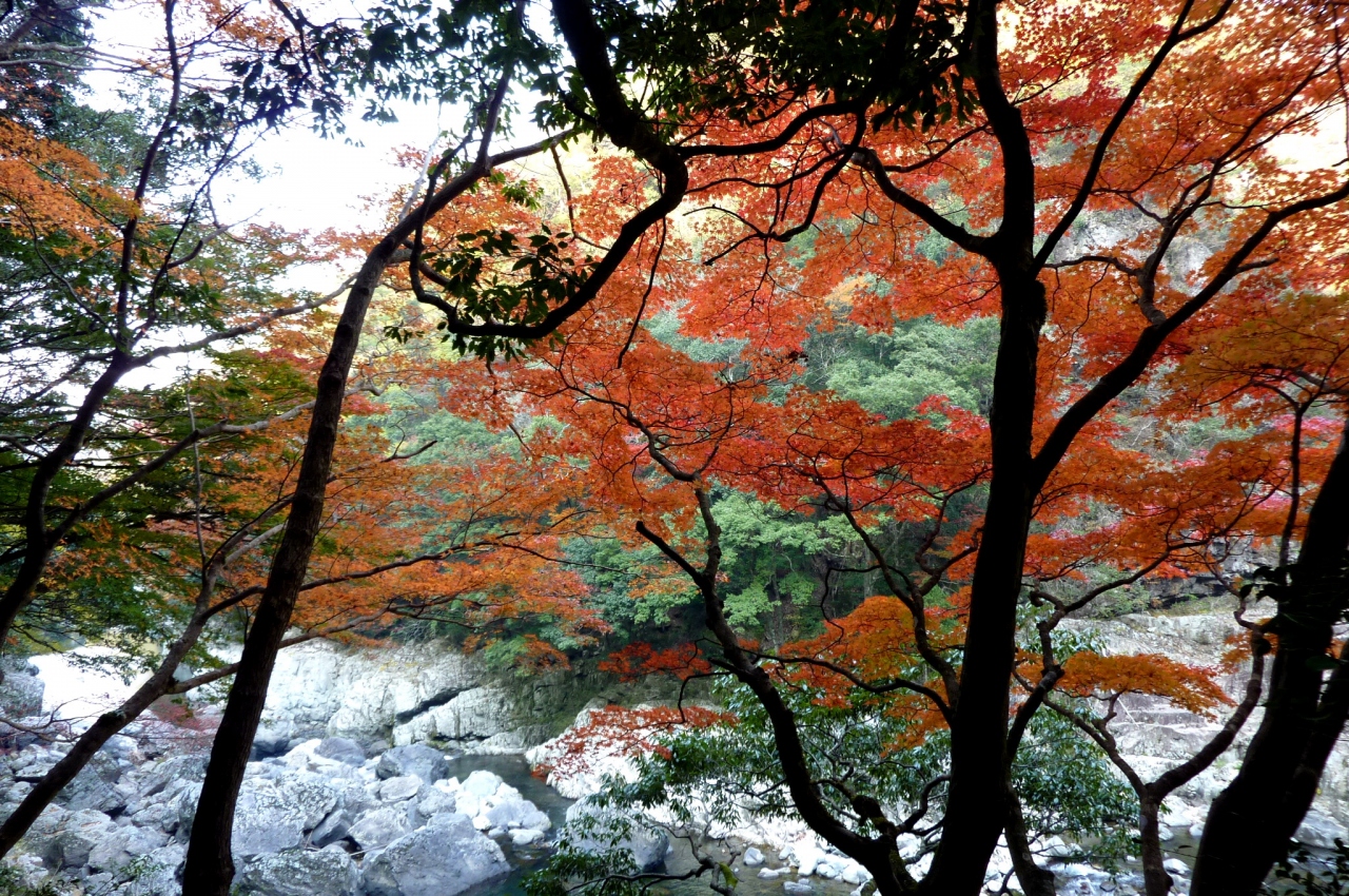 長門峡に紅葉を求めて 萩 山口県 の旅行記 ブログ By Elliott 7さん フォートラベル 長門峡に紅葉を求めて 萩 山口県 の旅行記 ブログ By Elliott 7さん フォートラベル
