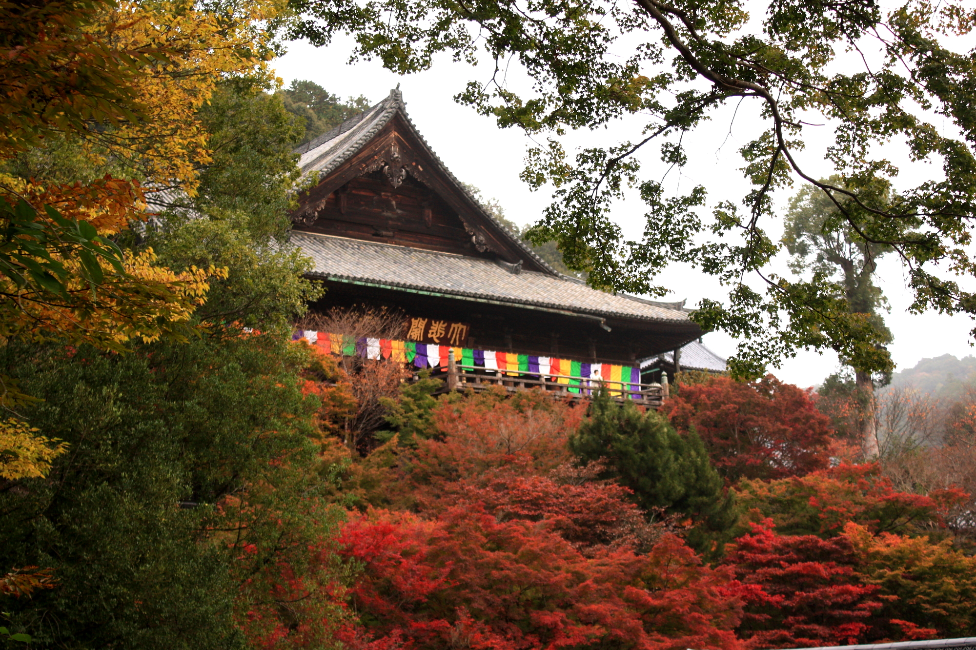 ２０１０年紅葉ドライブ 奈良編 長谷寺 談山神社 石舞台 高松塚古墳 信貴山だにゃん 桜井 三輪 山の辺の道 奈良県 の旅行記 ブログ By ねこたびさん フォートラベル
