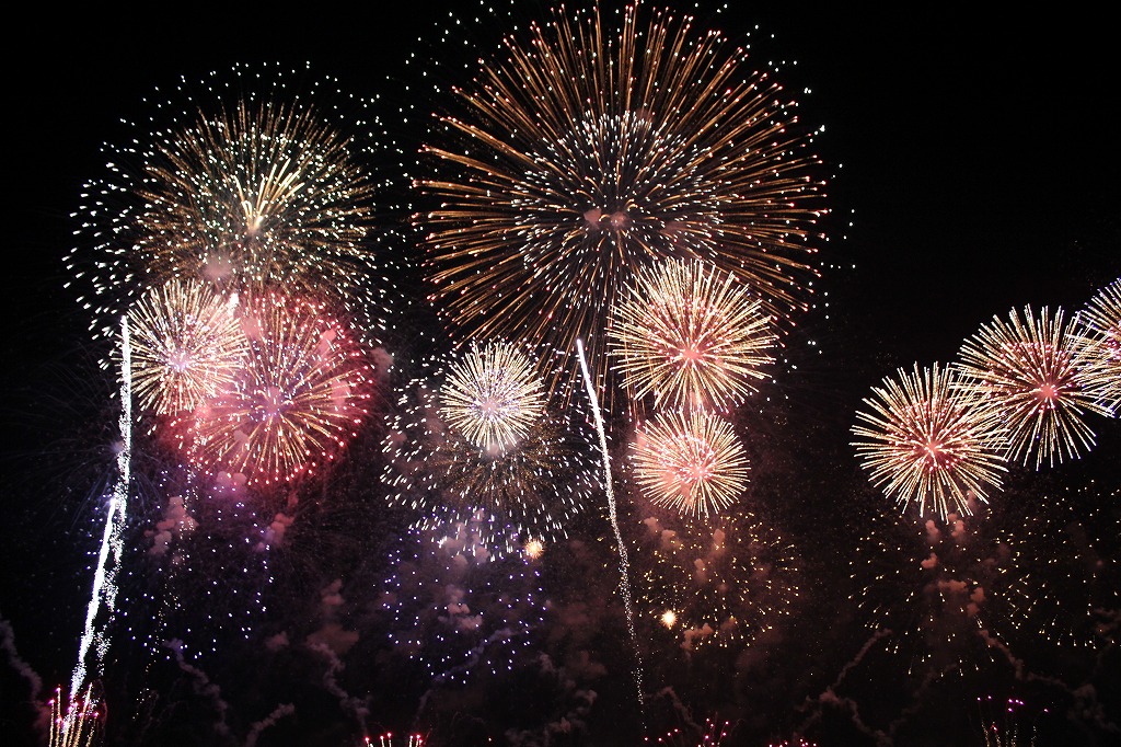 土浦花火大会 ハリー 秋の花火大会でドーン 土浦 茨城県 の旅行記 ブログ By ハリーさん フォートラベル