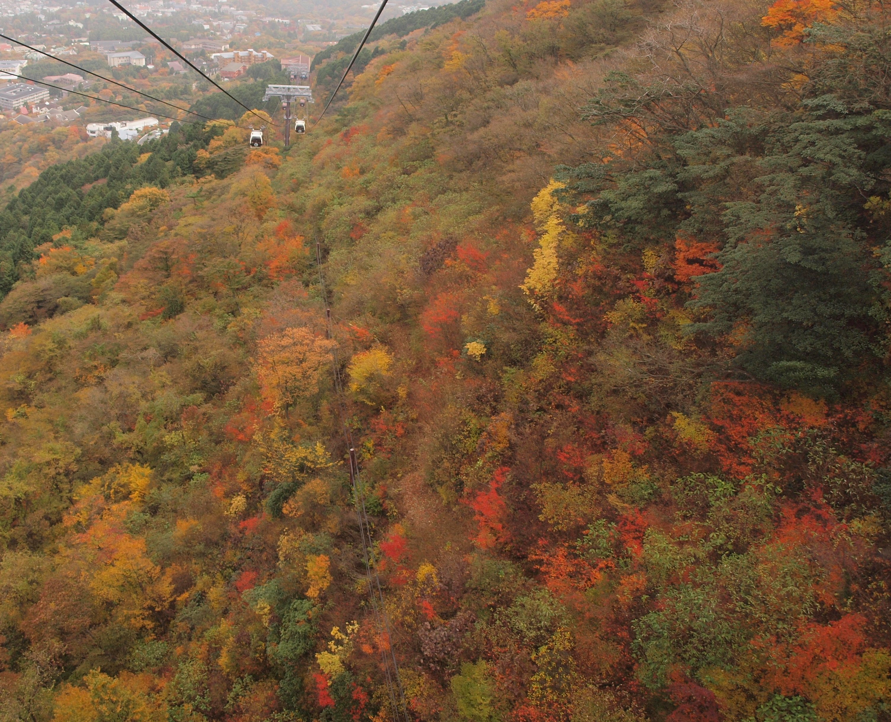 箱根ロープウェイから眺める紅葉の大涌谷と早雲山の駐車場 小涌谷付近の紅葉 ２０１０年１１月 仙石原 神奈川県 の旅行記 ブログ By ふらっとちょっとさん フォートラベル