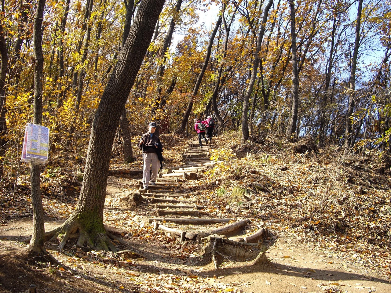 街中の喧噪を離れプチ登山 ソウル 韓国 の旅行記 ブログ By ジャカランダさん フォートラベル 街中の喧噪を離れプチ登山 ソウル 韓国 の旅行記 ブログ By ジャカランダさん フォートラベル