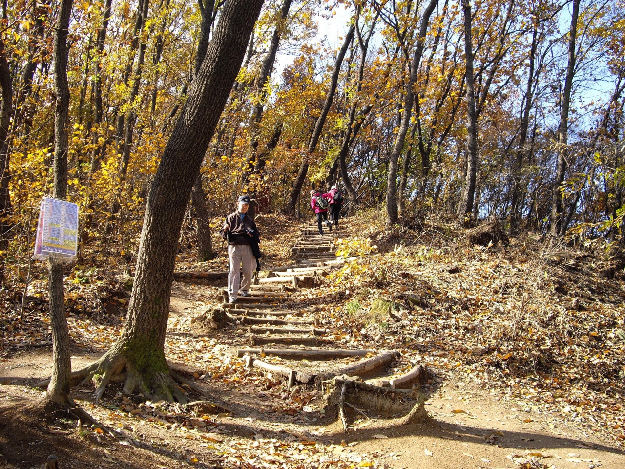 街中の喧噪を離れプチ登山 ソウル 韓国 の旅行記 ブログ By ジャカランダさん フォートラベル