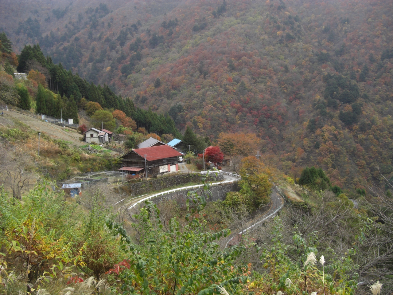 奥多摩の秋 鷹ノ巣山を歩く 奥多摩 東京 の旅行記 ブログ By Kyokosa Nさん フォートラベル 奥多摩の秋 鷹ノ巣山を歩く 奥多摩 東京 の旅行記 ブログ By Kyokosa Nさん フォートラベル