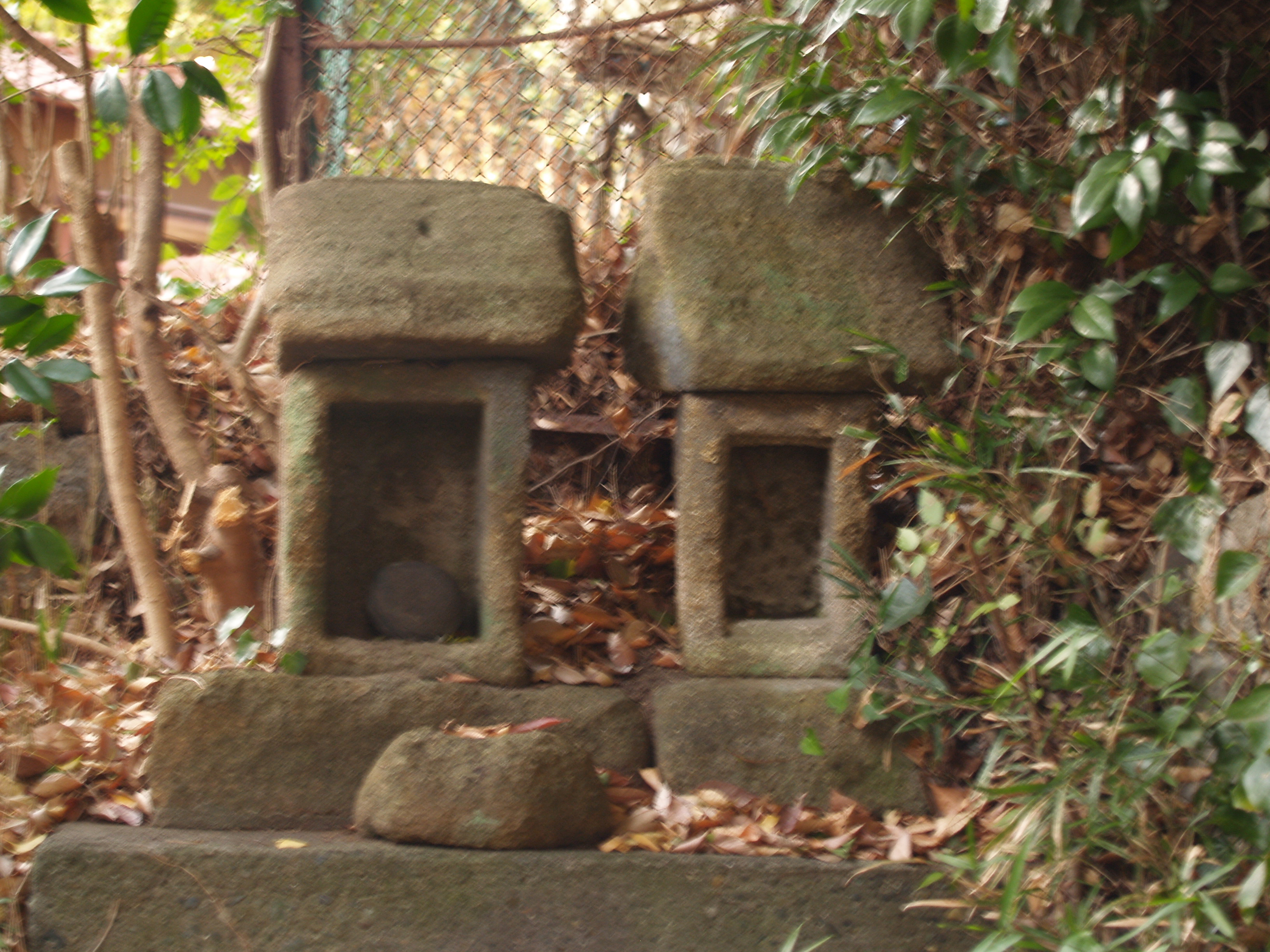 大銀杏と小さな2つの石祠 鎌倉浄明寺 鎌倉 神奈川県 の旅行記 ブログ By ドクターキムルさん フォートラベル 大銀杏と小さな2つの石祠 鎌倉浄明寺 鎌倉 神奈川県 の旅行記 ブログ By ドクターキムルさん フォートラベル