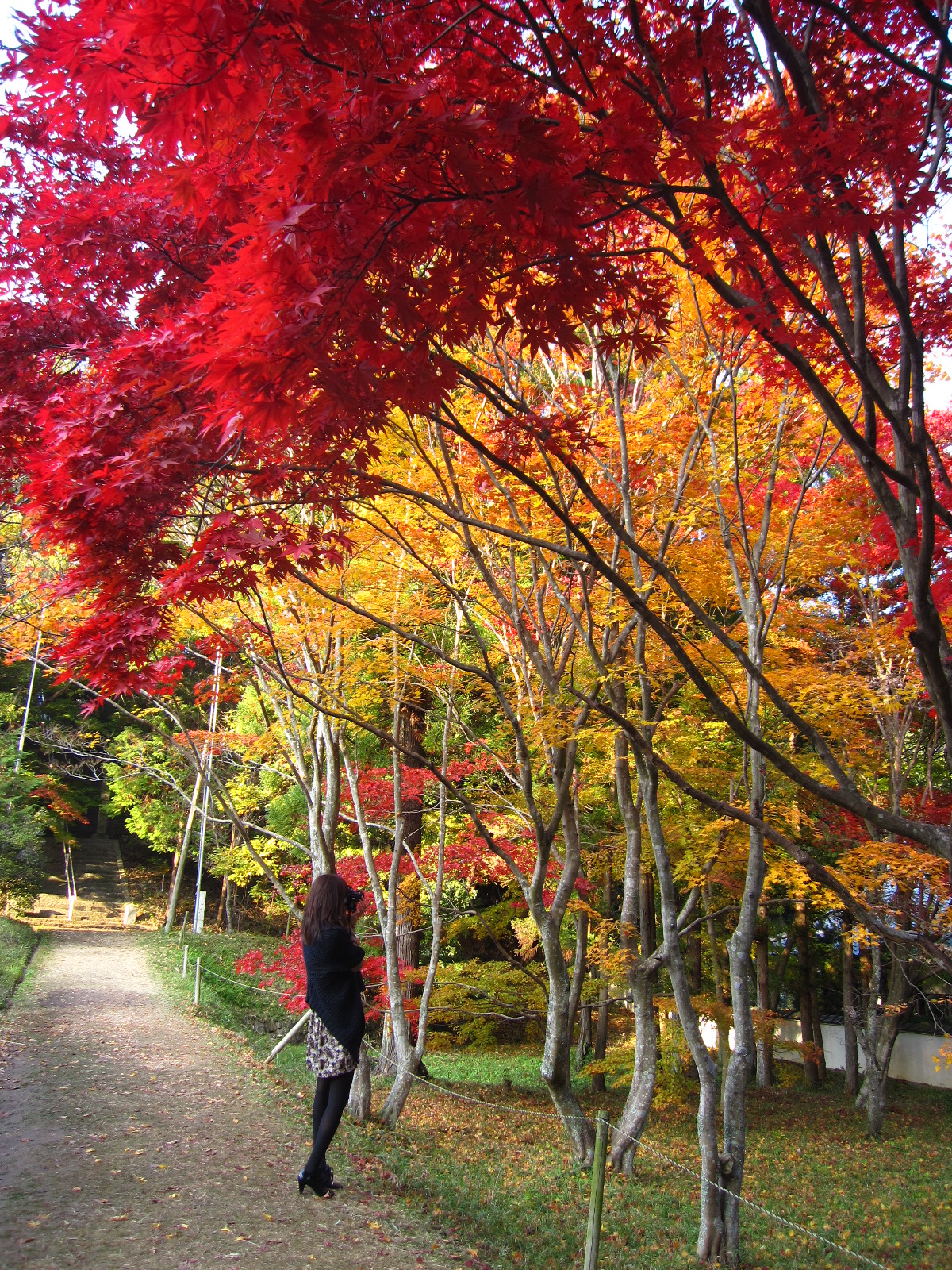 岡山 雪舟が修行したお寺 宝福寺の紅葉と名勝地豪渓 総社 吉備路 岡山県 の旅行記 ブログ By まりりんさん フォートラベル 岡山 雪舟が修行したお寺 宝福寺の紅葉と名勝地豪渓 総社 吉備路 岡山県 の旅行記 ブログ By まりりんさん フォートラベル