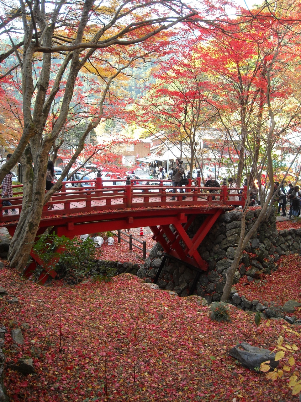 ２０１０ 晩秋 モミジの横蔵寺とモミジの谷汲山 揖斐川 岐阜県 の旅行記 ブログ By さや犬さん フォートラベル