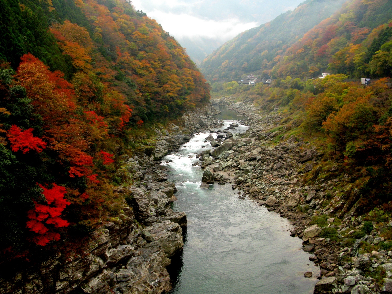 四国の紅葉と食 ときどき温泉 その2 四国の秘境 祖谷渓谷 祖谷渓 かずら橋 大歩危 徳島県 の旅行記 ブログ By ぽんすけさん フォートラベル