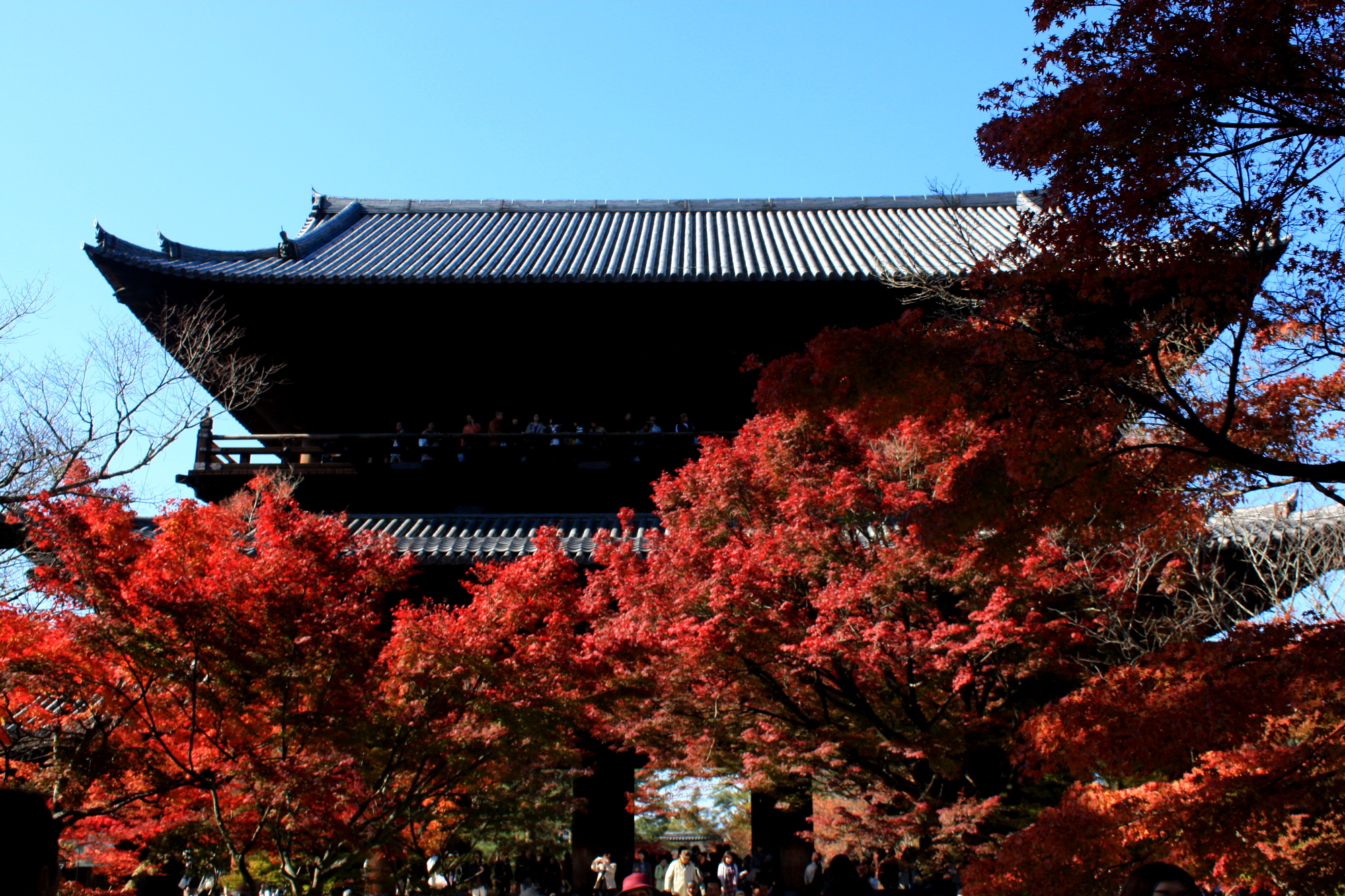 ２０１０年紅葉ドライブ 京都 滋賀編 知恩院 南禅寺 比叡山 延暦寺 に行ったにゃん 京都の旅行記 ブログ By ねこたびさん フォートラベル