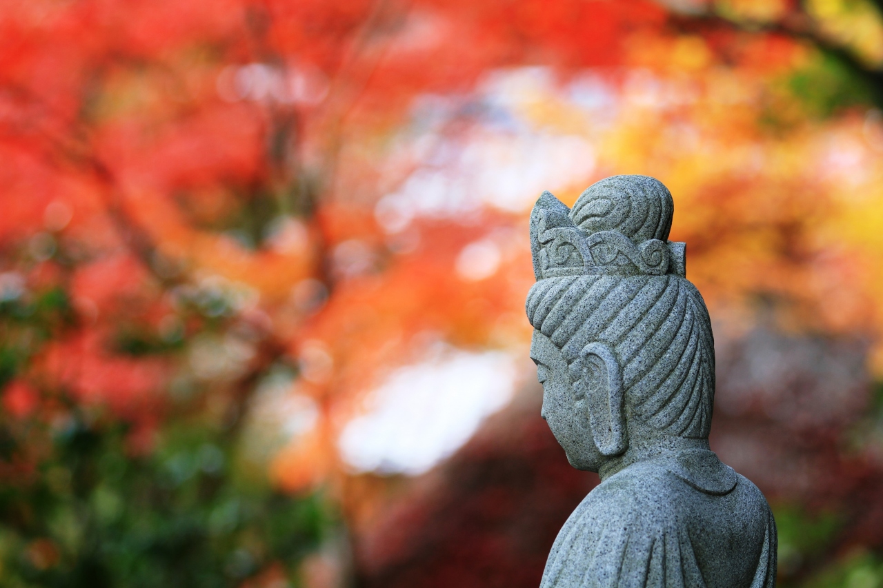 京都紅葉10 鈴虫の鳴き声を聞き 見事な紅葉を堪能する 華厳寺 鈴虫寺 嵐山 嵯峨野 太秦 桂 京都 の旅行記 ブログ By みにくまさん フォートラベル