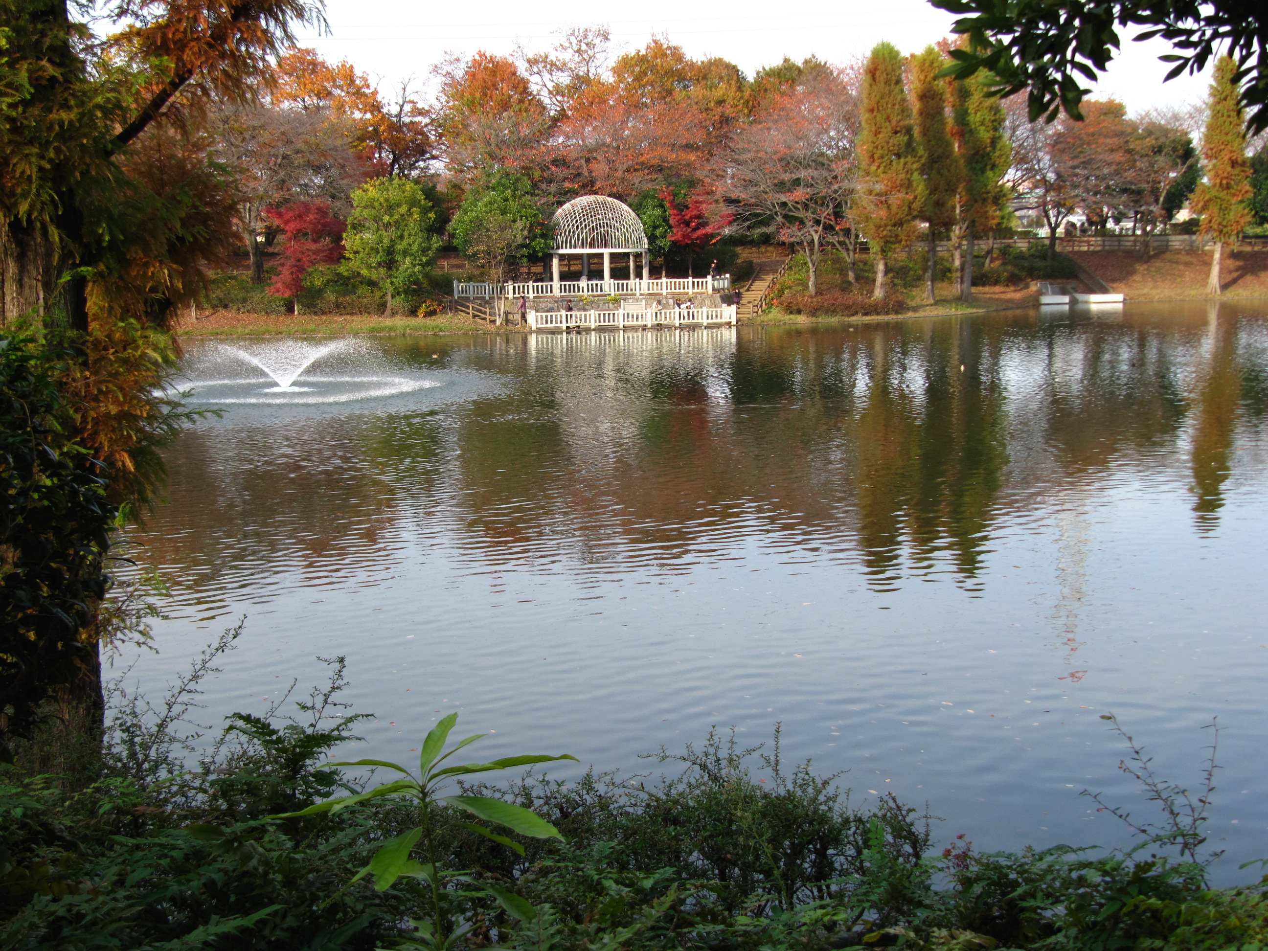 修景池と白い東屋がある晩秋の公園 川越 埼玉県 の旅行記 ブログ By まみさん フォートラベル 修景池と白い東屋がある晩秋の公園 川越 埼玉県 の旅行記 ブログ By まみさん フォートラベル