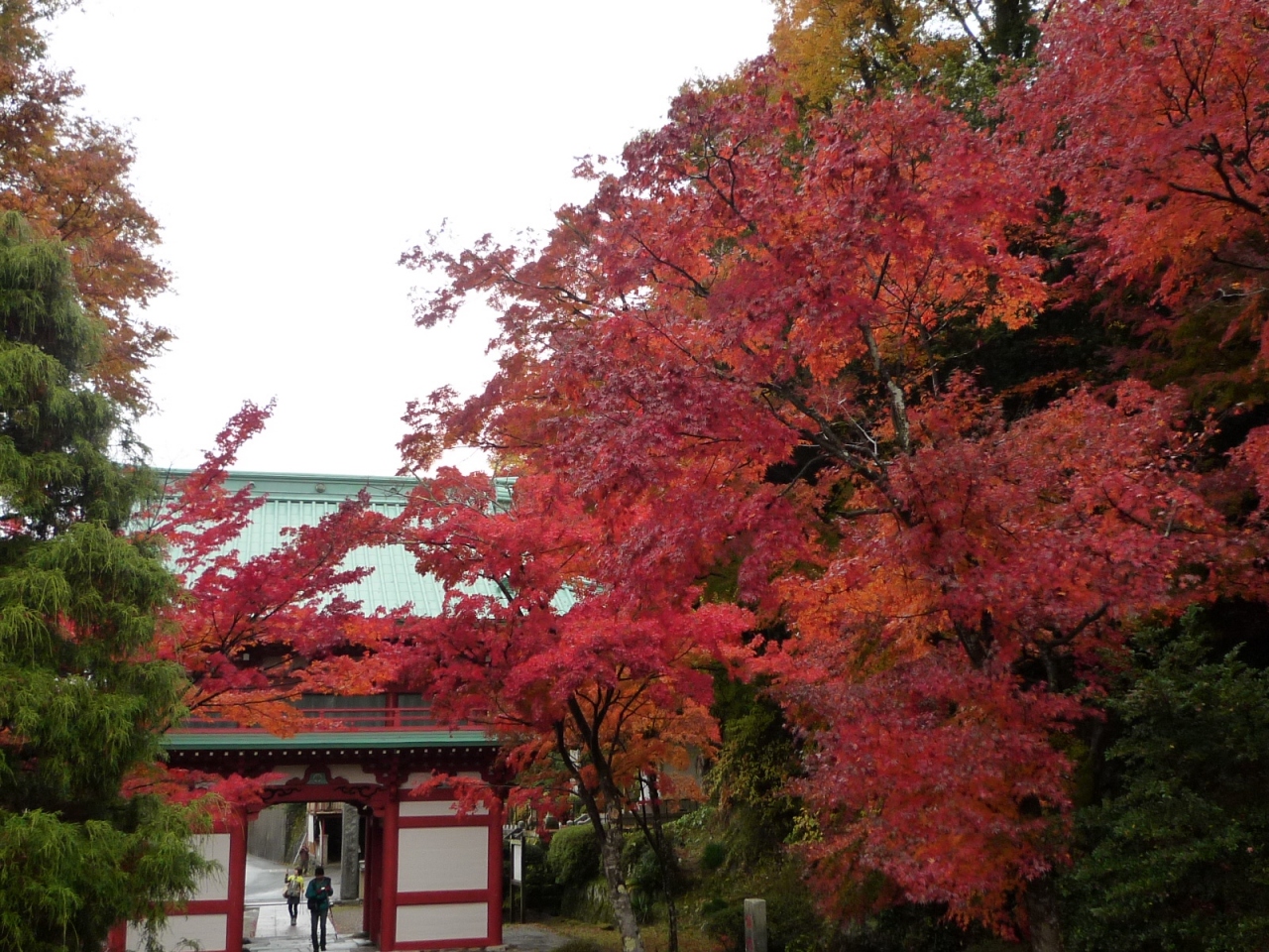 さわやかウォーキング 紅葉と富士山眺望 小山町ウォーキング 御殿場 静岡県 の旅行記 ブログ By Spitfirebuzz90さん フォートラベル